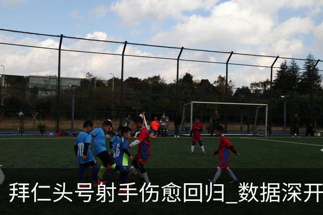 拜仁头号射手伤愈回归 数据深开或完胜收场